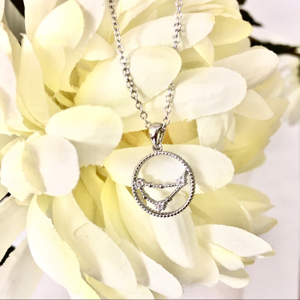 ⭐️ Zodiac Constellation CAPRICORN Dainty Necklace